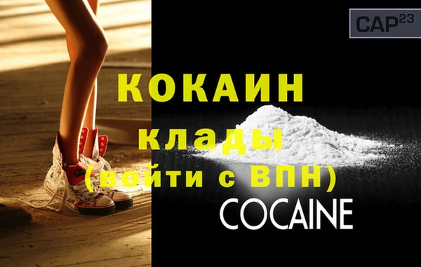 ПСИЛОЦИБИНОВЫЕ ГРИБЫ Вяземский