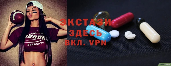 индика Вязьма
