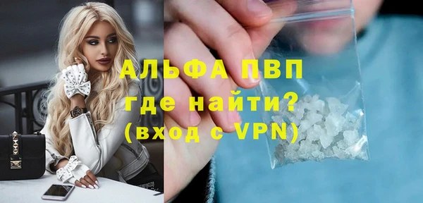индика Вязьма
