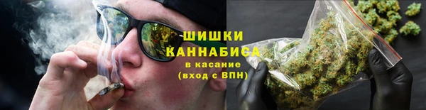 индика Вязьма