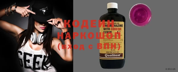 ПСИЛОЦИБИНОВЫЕ ГРИБЫ Вяземский