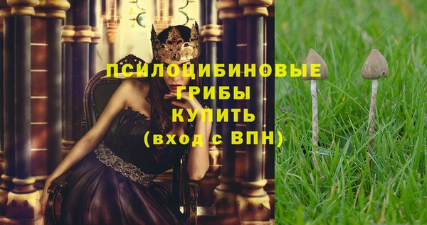 ПСИЛОЦИБИНОВЫЕ ГРИБЫ Вяземский