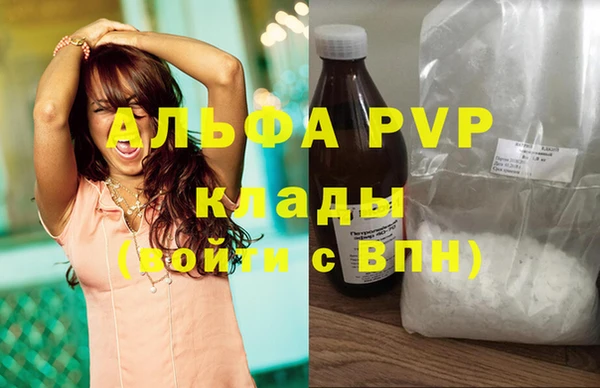 ПСИЛОЦИБИНОВЫЕ ГРИБЫ Вяземский