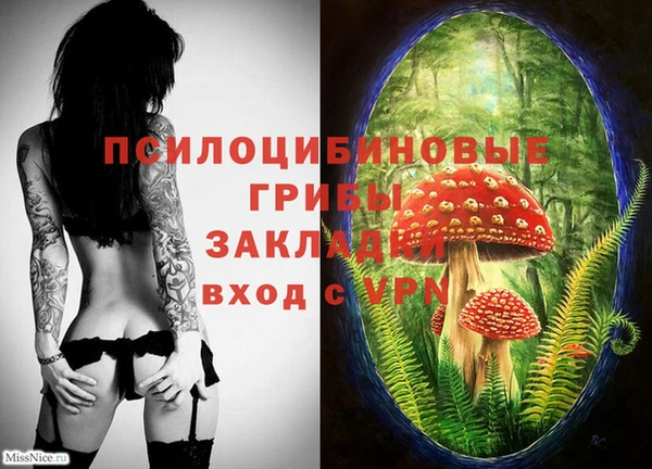 индика Вязьма