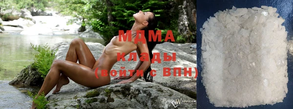 индика Вязьма