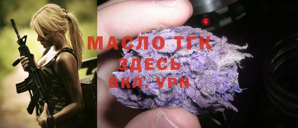 индика Вязьма