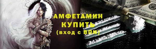 индика Вязьма