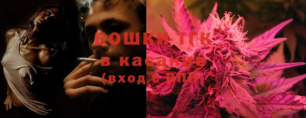 индика Вязьма