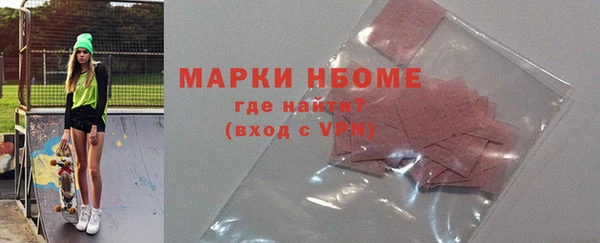 индика Вязьма