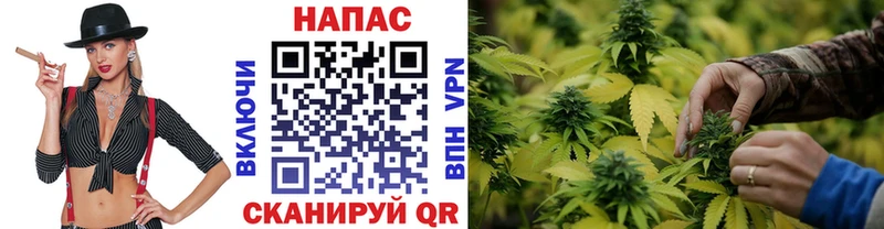 Купить где  Спасск  Бошки Шишки ГИДРОПОН 